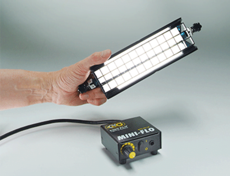 Kino mini flo rentals